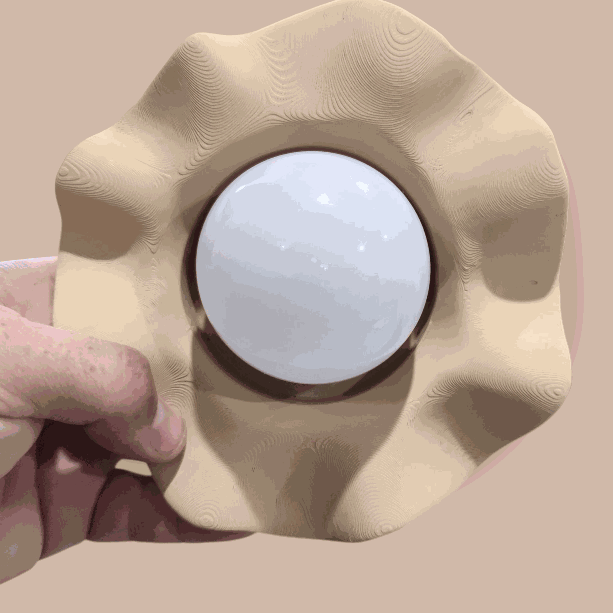 Selected Variant Image